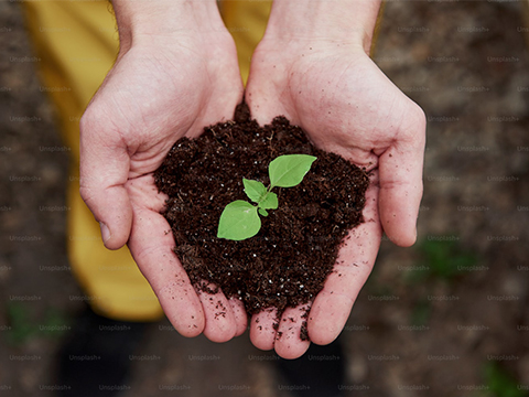 开云电竞体系认证证书